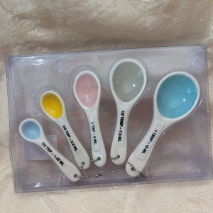 Rae Dunn Colorful Ceramic Measuring Spoons 5 pc. Set NIB